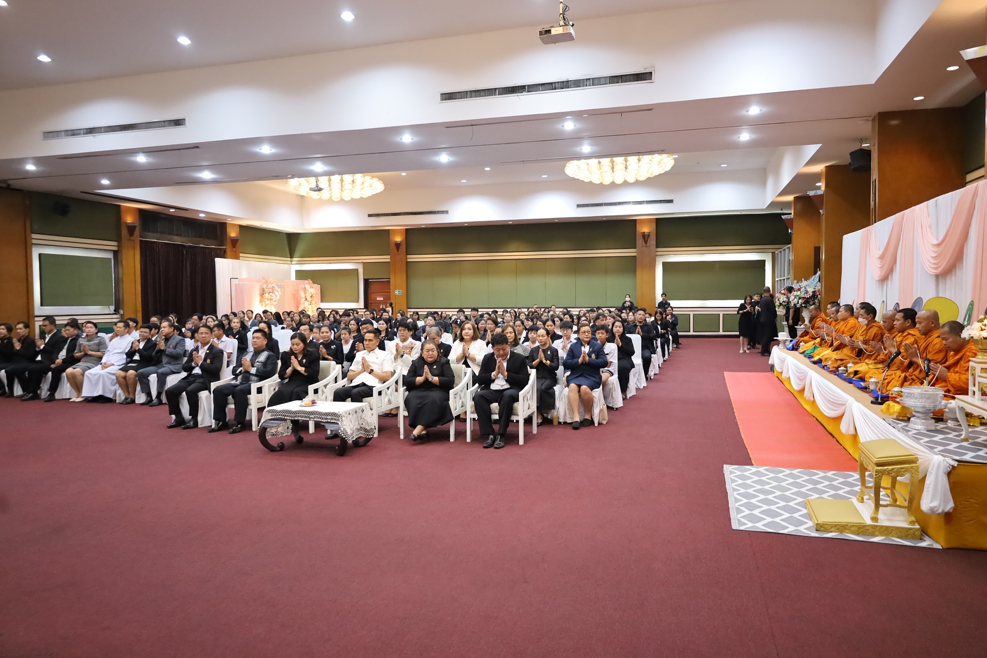 IMG 8337.JPG compressed 0